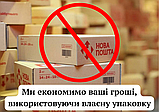 Волоський горіх сорт "Піщанський" (10 штук калібр 30-40 мм) насіння на саджанці, фото 4