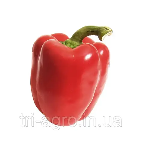 Перець Анастасія 0,3г ТМ Смачний, фото 1