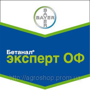 Гербіцид Бетанал Експерт на посівах цукрових буряків.