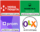 Лаванда насіння 0,1 гр (прибл 100 шт) вузьколиста англійська (Lavándula angustifólia) багаторічна справжня садова колоскова, фото 6