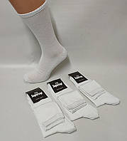Шкарпетки чоловічі Sport 0303s-W вис.теніс махрова стопа білі р.40-45 (уп.12 пар)