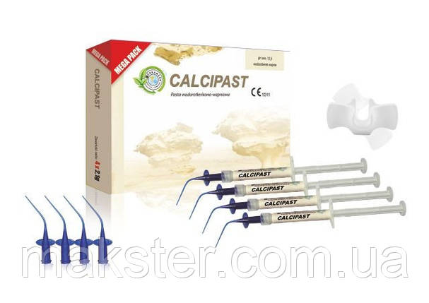 Матеріал для тимчасового пломбування кореневих каналів CALCIPAST (MEGA PACK), фото 1