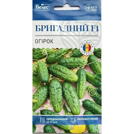 Насіння огірка Бригадний F1 0,5 г ТМ ВЕЛЕС, фото 1