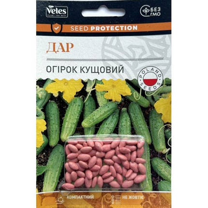 Насіння огірка Дар (кущовий) 50шт F1 ДРАЖЕ ТМ ВЕЛЕС, фото 2