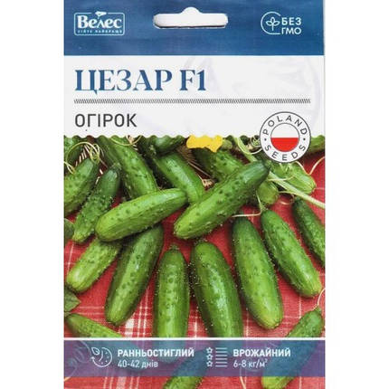 Насіння огірка Цезар F1 2,5 г ТМ ВЕЛЕС, фото 1