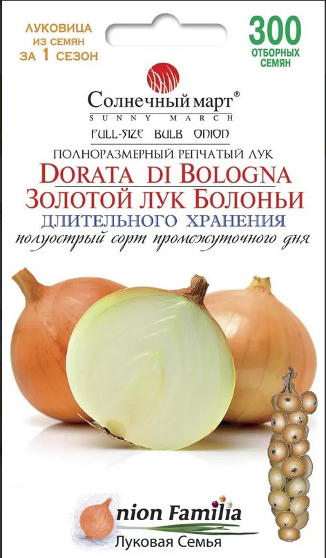Цибуля Ріпчаста Золота цибуля Болоньї 300 шт