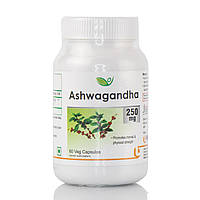Ашваганда Ашвагандха 250 мг Ashwagandha Biotrex 60 caps адаптоген для зниження кортизолу