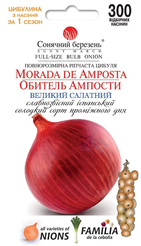Цибуля Ріпчаста Обитель Ампости 300 шт