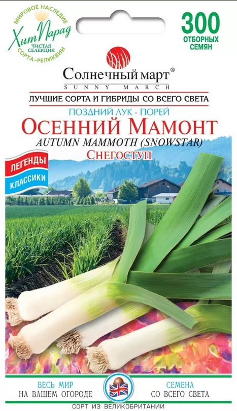 Цибуля Осінній Мамонт 300 шт