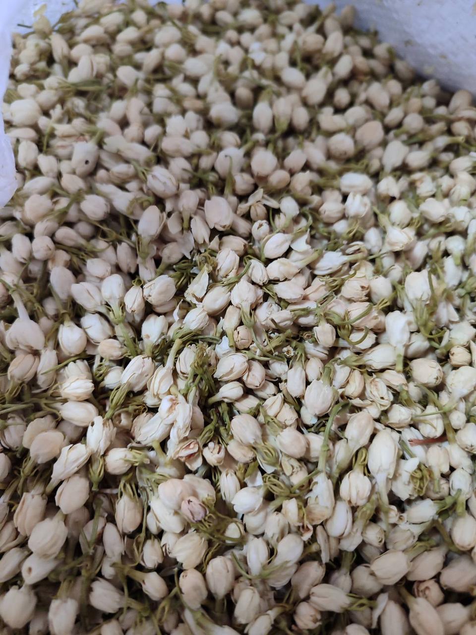 Жасмин (бутони), 500г., фото 1