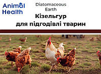 Добавка для подкормки животных AnimalHealth Diatomaceous Earth Кизельгур 100 г