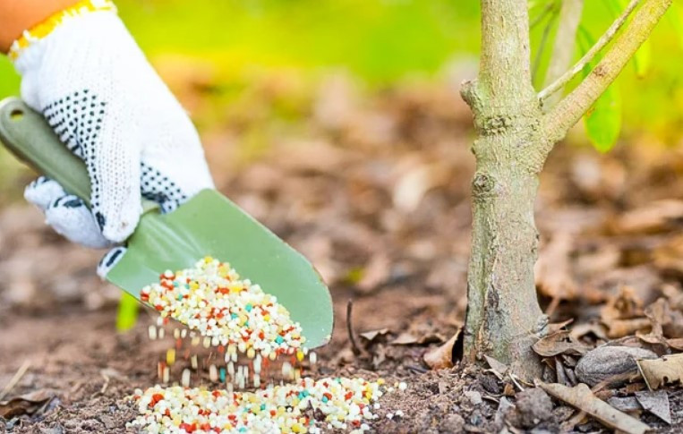 Добавка для підживлення агророслин RedCorn Diatomite+zeolite 100 г