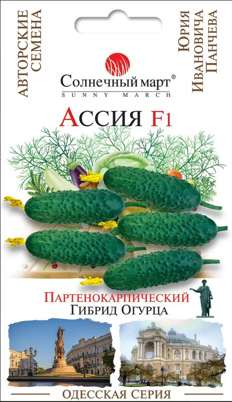 Огірок Асія F1 10 шт