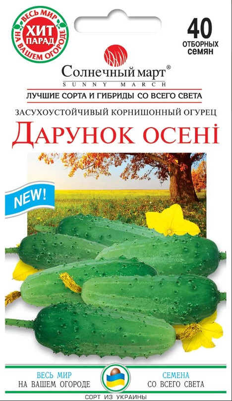 Огірок Дарунок осені 40 шт