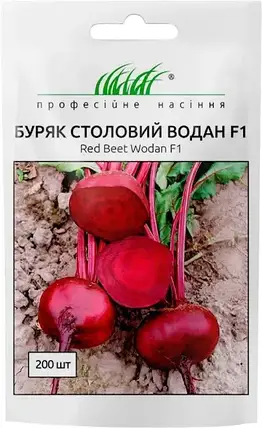 Насіння буряку Водан F1, 2 г — ранній гібрид (85-90 днів), кругла, їдальня, Професійне насіння, фото 1