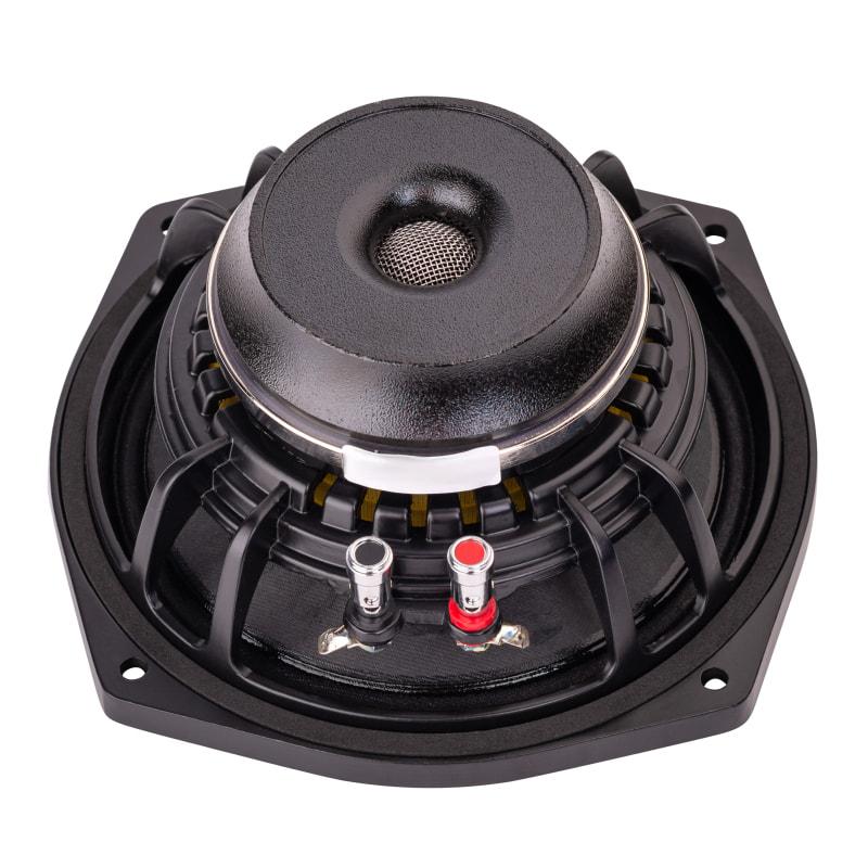 Alex-Audio SN6-200D Неодимовий динамік, фото 1