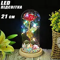 Вічна троянда в колбі з LED-підсвіткою Light Rose 21 см-RS5 Квітка-нічник під скляним куполом INF