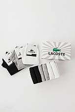 Набір чоловічих шкарпеток Lacoste 9 пар. Лакоста бавовна, фото 3