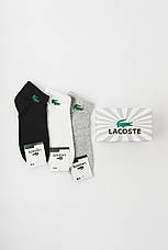 Набір чоловічих шкарпеток Lacoste 9 пар. Лакоста бавовна, фото 4