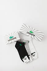 Набір чоловічих шкарпеток Lacoste 9 пар. Лакоста бавовна, фото 5
