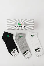 Набір чоловічих шкарпеток Lacoste 9 пар. Лакоста бавовна, фото 6