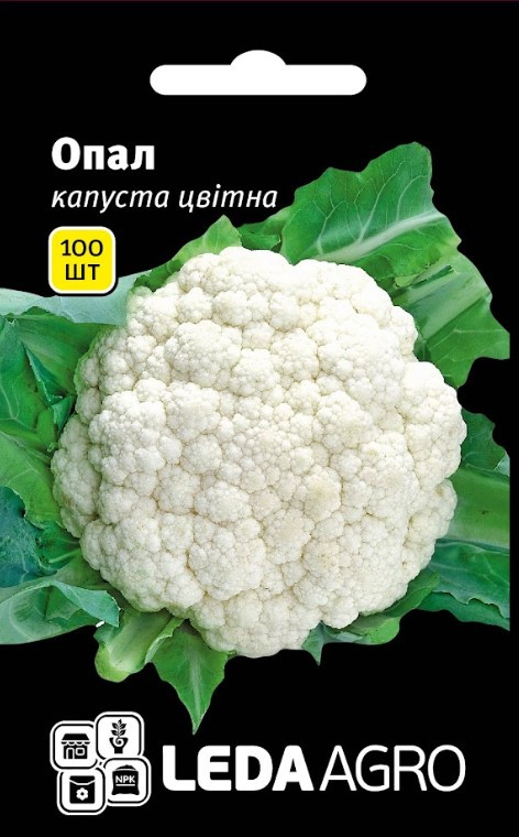 Насіння Капусти цвітної Опал 100 шт (Leda Agro), ранній сорт для відкритого ґрунту та теплиць, фото 1