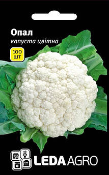 Насіння Капусти цвітної Опал 100 шт (Leda Agro), ранній сорт для відкритого ґрунту та теплиць