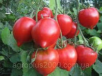 Семена Томат индетерминантный Гибрид Тарасенко 2 весом 5 граммов