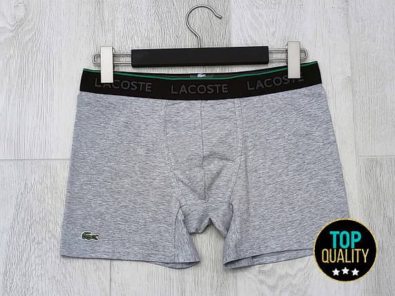 Чоловічі труси Lacoste сірі. Повномірна подовжена модель. Преміум якість, фото 1