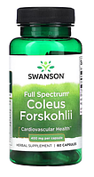Форсколин 400мг (Coleus Forskohlii) травяная добавка для похудения от Swanson, 60 капсул