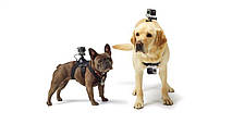 Кріплення для собак GoPro Fetch Dog ADOGM-001