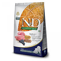Низкозерновой сухой корм Farmina N&D, для щенков средних и больших пород, ягнёнок с черникой, 12 кг