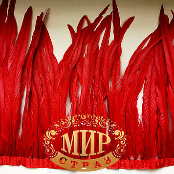 Тасьма перова Колір Red (пери 30-35 см) Ціна за 0.5 м