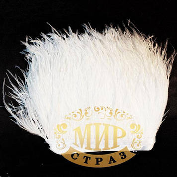 Тасьма перова страусинна, колір White, ціна за 0.5 м