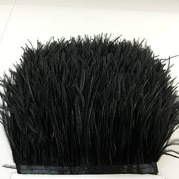 Тасьма страусинна Колір Black, ціна за 0.5м