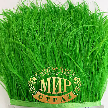 Пір'я страуса на стрічці Колір Fluo Green Ціна за 0.5м