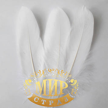 Перо гусака, колір White, довжина 15-20 см, 1 шт.