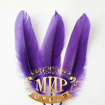 Перо гусака, колір Purple, довжина 17-20 см, 1 шт.