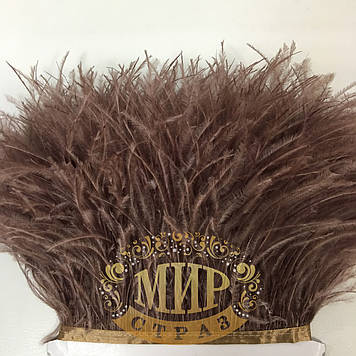 Тасьма страусинна Колір Сoffe Ціна за 0.5м