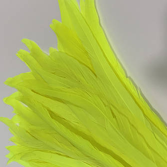 Пір'я півня