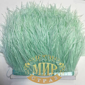 Тасьма страусинна Колір Mint Ціна за 0.5м