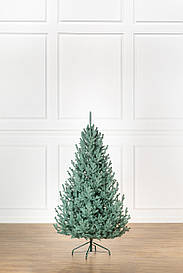 Ялинка лита "Віденська" Блакитна 1,80м