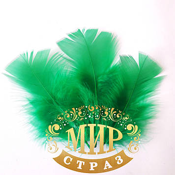 Натуральне перо 6-8 см, колір Emerald, 1 шт.
