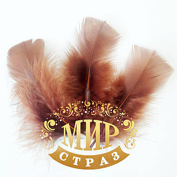 Натуральне перо 6-8 см, колір Cooper, 1 шт.