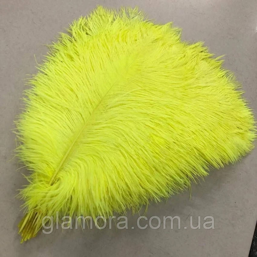 Страусове перо салатове, 1 шт