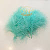 Пір'я Incint Mint 10-15 см,, фото 2