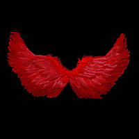 Крылья из перьев красные, маленькие