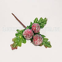 Гілочка морошки у цукрі (17см). Уцінка