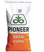 Пионер P9718E, П9718Е семена кукурузы ФАО:390