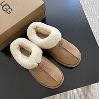 Женские зимние Ugg